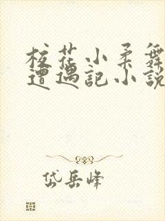 校花小柔舞蹈室遭遇记小说