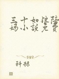 三十如狼陪读妈妈小说免费阅读封面