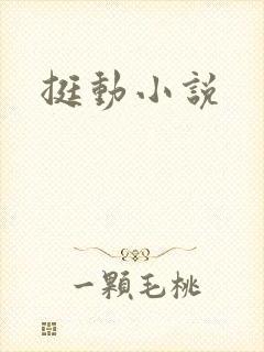 挺动小说