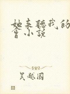 她来听我的演唱会小说