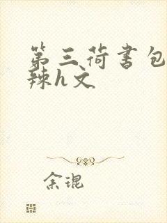 第三荷书包网高辣h文封面