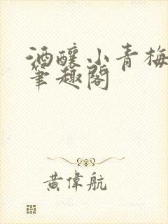 酒酿小青梅po笔趣阁