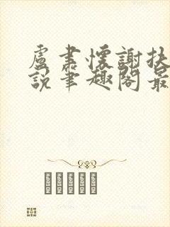 卢聿怀谢扶盈小说笔趣阁最新章节封面