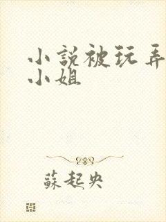 小说被玩弄的大小姐封面