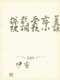 总裁受露着奶头被调教小说