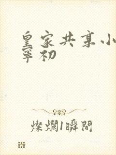 皇家共享小公主宁初