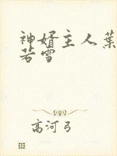 神婿主人叶凡唐若雪