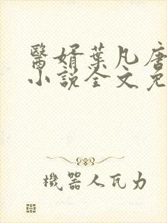 医婿叶凡唐若雪小说全文免费阅读