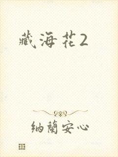 藏海花2