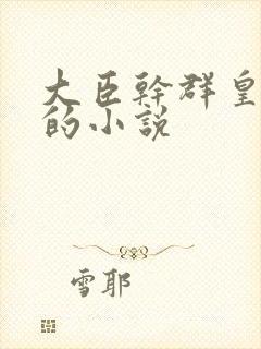 大臣干群皇太后的小说