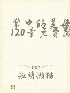 掌中的美母版主120章免费阅读