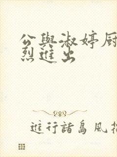 公与淑婷厨房猛烈进出封面