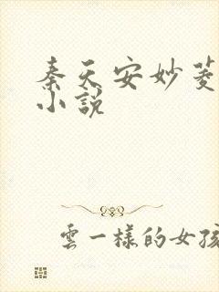 秦天安妙菱修仙小说封面