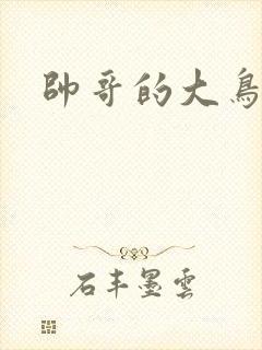 帅哥的大鸟