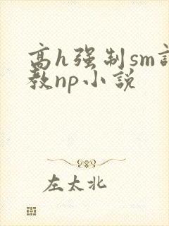 高h强制sm调教np小说