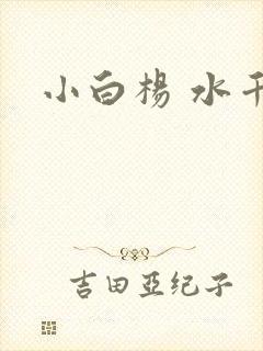 小白杨 水千丞