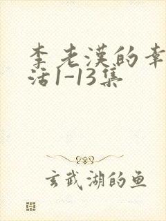 李老汉的幸福生活1-13集封面