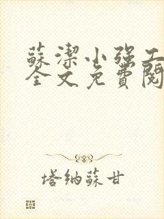 苏洁小强工地情全文免费阅读