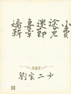 娇妻迷途小说最新章节免费阅读