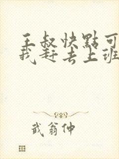 王叔快点可以吗我赶去上班封面