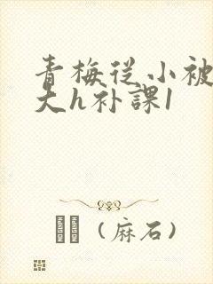 青梅从小被c到大h补课1