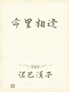 命里相逢