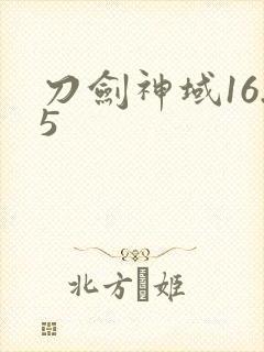 刀剑神域16.5