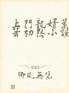 上门龙婿叶辰,萧初然小说