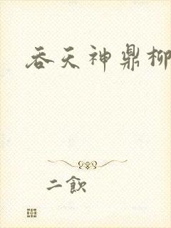 吞天神鼎柳无邪