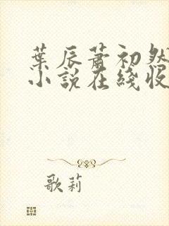 叶辰萧初然有声小说在线收听