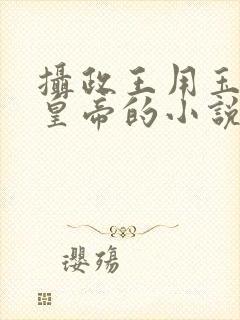 摄政王用玉髓整皇帝的小说