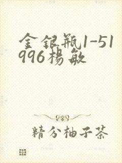 金银瓶1-51996杨敏