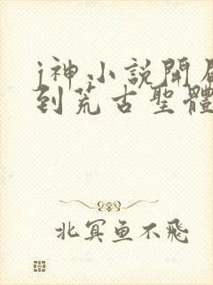 j神小说开局签到荒古圣体封面