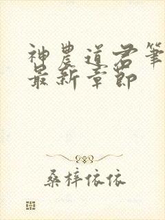 神农道君笔趣阁最新章节