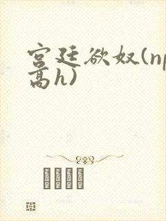 宫廷欲奴(np高h)