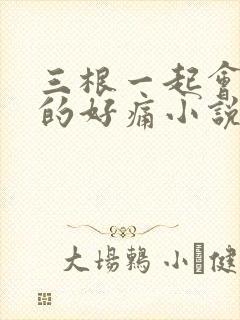 三根一起会坏掉的好痛小说