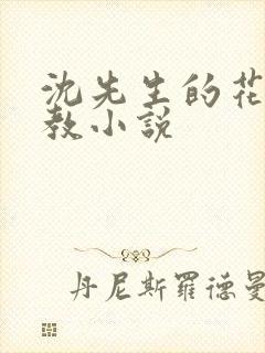 沈先生的花式管教小说