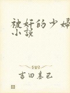 被奸的少妇长篇小说