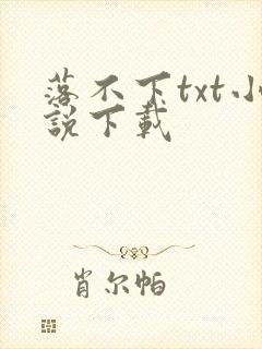 落不下txt小说下载