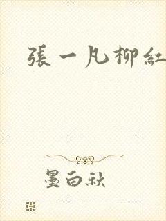张一凡柳红封面