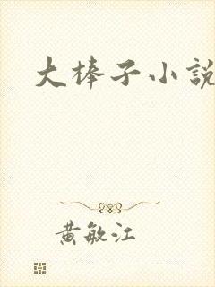 大棒子小说