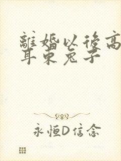 离婚以后高干 耳东兔子封面