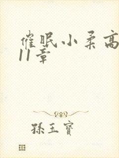 催眠小柔高达第11章