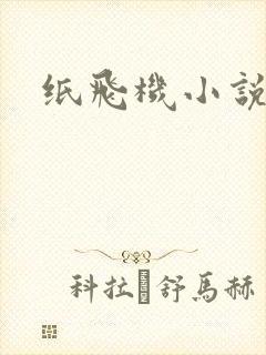 纸飞机小说封面