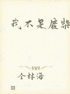 我不是废柴封面