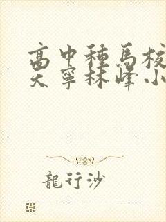 高中种马校草杨天宁林峰小说笔趣阁