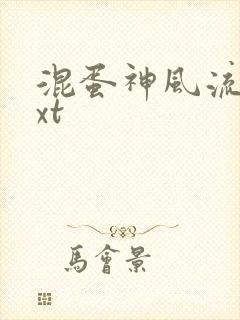 混蛋神风流史txt封面