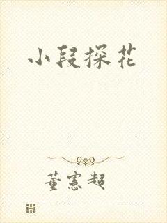 小段探花封面
