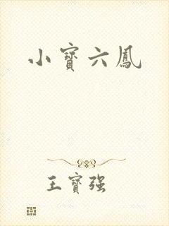 小宝六凤
