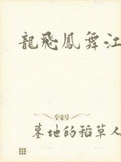 龙飞凤舞江一龙